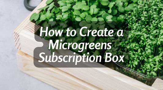 How to Create a Microgreens Subscription Box